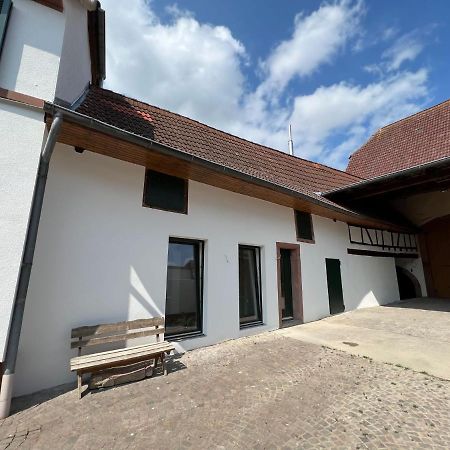 Restaurierter Altbau Mit Privatem Innenhof & Parkplatz Grossfischlingen المظهر الخارجي الصورة
